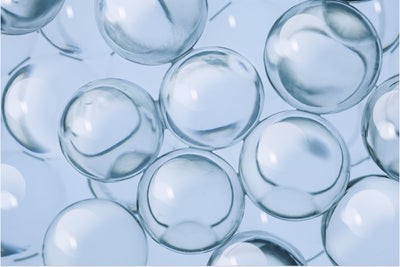 Ceramides