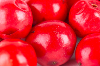 Peruvian Peppertree Extract